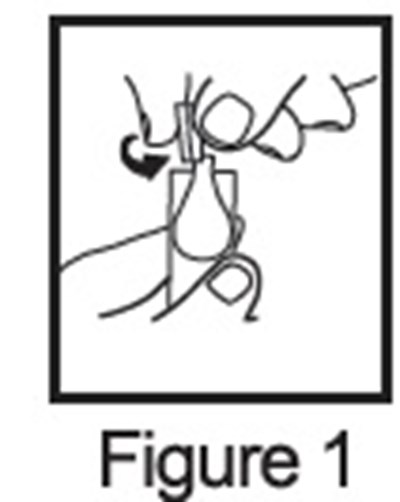 Figure 1 (Figure 1)